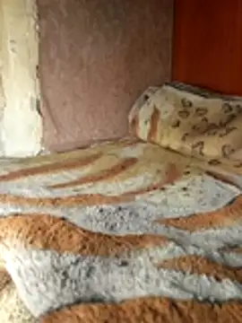 Holly Bette online show from March 13, 2026, 6:36 pm