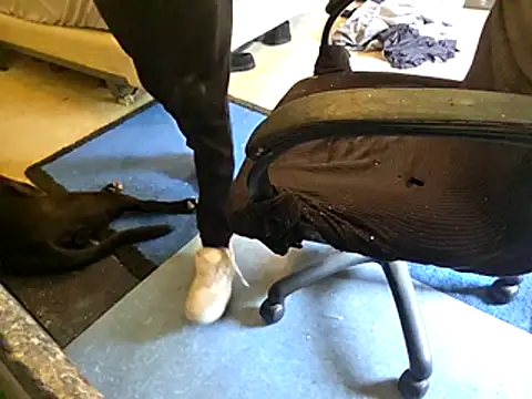 Migaruo online show from April 14, 2026, 5:08 pm