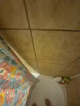 alxcol online show from December 3, 2025, 4:42 am