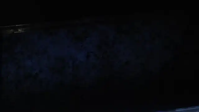 Snapshot of joeydee1 chatting on February 17, 2025, 11:20 pm joeydee1 online show from February 17, 2025, 11:20 pm