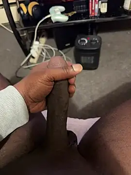 Cameltoekilla online show from February 12, 2026, 12:00 pm