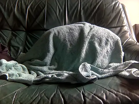 kimbo500 online show from February 13, 2026, 9:05 am