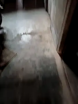 Snapshot of biharihotlund chatting on February 20, 2025, 2:29 am biharihotlund online show from February 20, 2025, 2:29 am