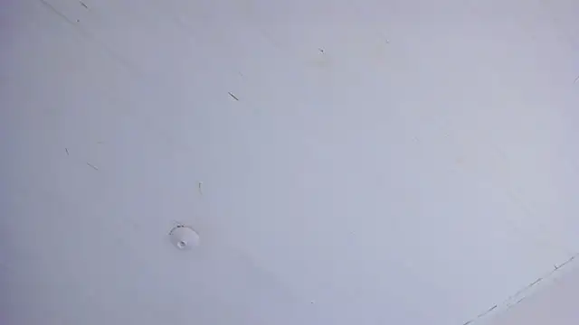 TiffanyWright online show from April 14, 2026, 1:17 pm