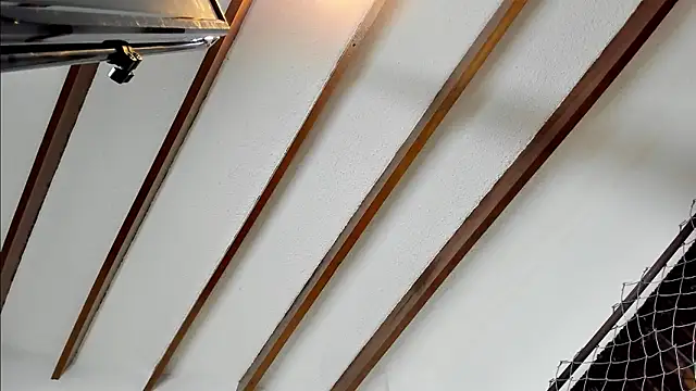 Beard xox online show from December 4, 2024, 1:47 am