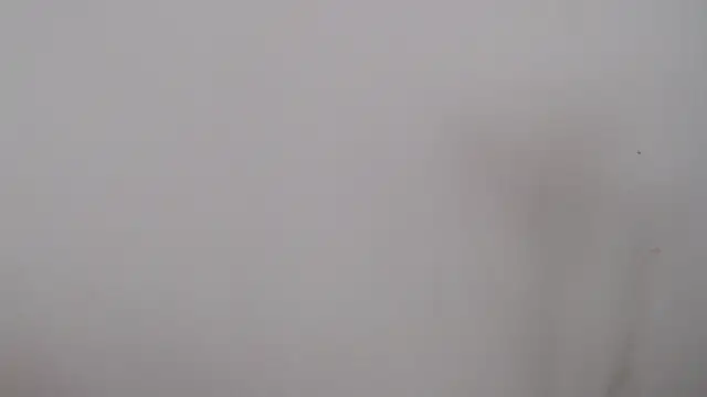 Snapshot of leoytessa_10 chatting on December 5, 2024, 9:17 pm leoytessa 10 online show from December 5, 2024, 9:17 pm