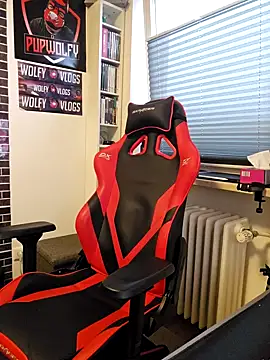 PupW0lfy online show from January 28, 2025, 3:14 pm