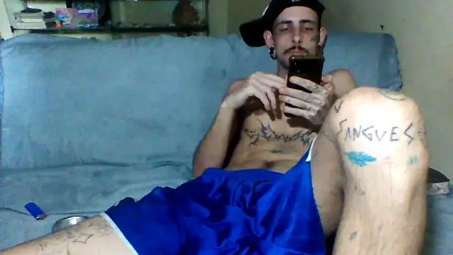 sellvageria online show from November 5, 2025, 6:41 pm