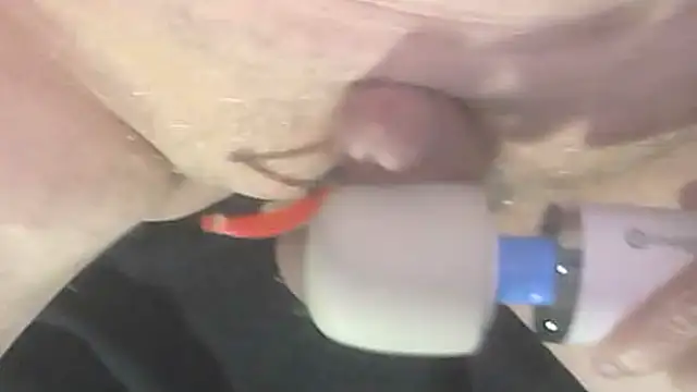 trittico online show from October 9, 2025, 1:47 am