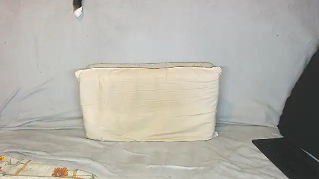 qustci-couple online show from October 21, 2025, 9:43 am