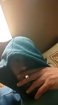 Rejtelmesest online show from January 20, 2025, 3:15 am