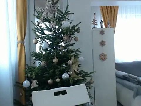 Snapshot of GoldenMark chatting on December 20, 2024, 12:05 pm GoldenMark online show from December 20, 2024, 12:05 pm