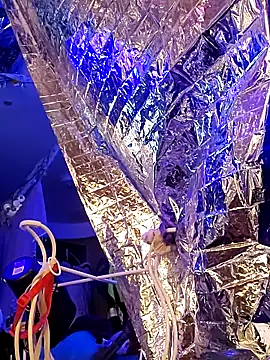 Snapshot of gurlnips chatting on March 21, 2025, 11:33 am gurlnips online show from March 21, 2025, 11:33 am