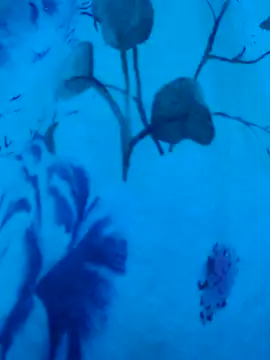 Snapshot of gurlnips chatting on September 19, 2025, 6:37 am gurlnips online show from September 19, 2025, 6:37 am