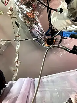 Snapshot of gurlnips chatting on November 26, 2025, 6:25 am gurlnips online show from November 26, 2025, 6:25 am