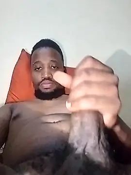 Snapshot of BaseDick chatting on November 12, 2025, 8:41 pm BaseDick online show from November 12, 2025, 8:41 pm