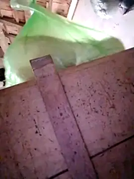 Hotpussy3ox online show from December 20, 2025, 3:13 am