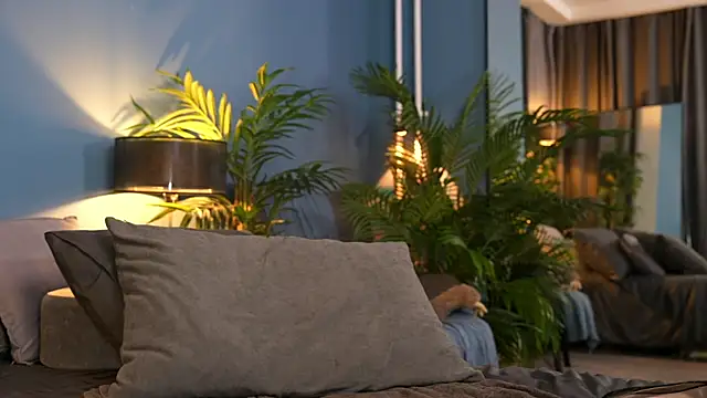  keeti  online show from November 1, 2025, 11:29 pm