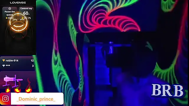 DominicPrince online show from January 13, 2026, 4:12 pm