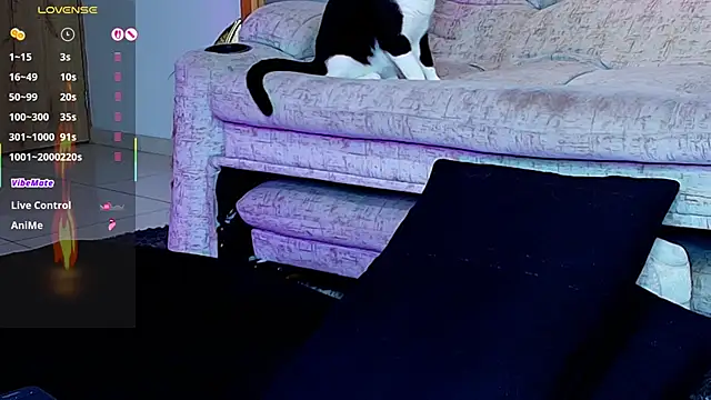 zaiin diesel online show from June 29, 2026, 2:18 am