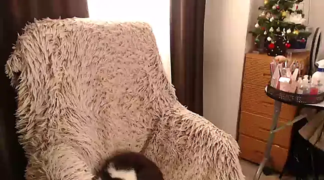 Snapshot of Goddessmxx chatting on December 13, 2024, 11:55 am Goddessmxx online show from December 13, 2024, 11:55 am