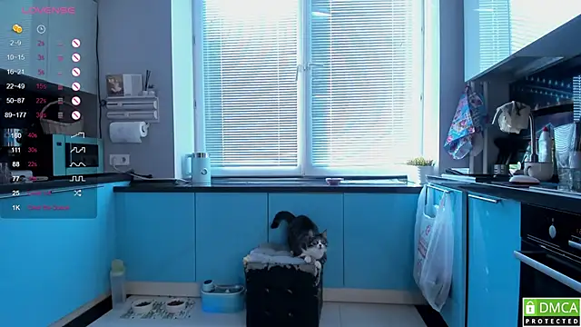 wwildfox online show from March 16, 2026, 5:44 am