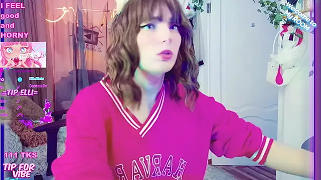 Snapshot of Toxic_Ellies chatting on December 14, 2024, 8:13 am Toxic Ellies online show from December 14, 2024, 8:13 am