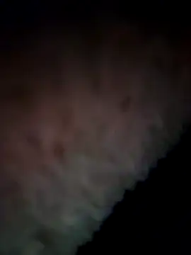 07YUKIO online show from December 31, 2024, 3:31 pm