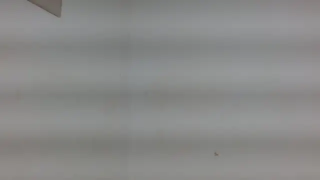 yulissa18 online show from January 29, 2025, 3:22 am