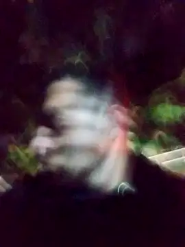 mis312 online show from March 4, 2025, 1:45 am