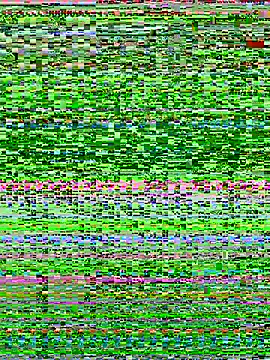 Bella babei01 online show from January 11, 2026, 11:04 am