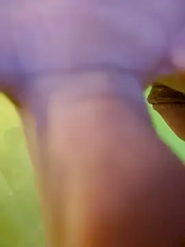 jorwee online show from January 15, 2025, 7:26 am