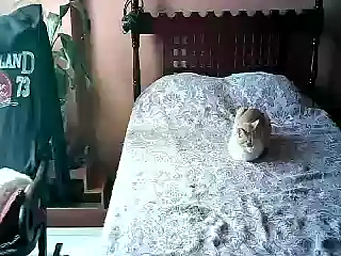 2mgars online show from January 17, 2026, 4:11 pm