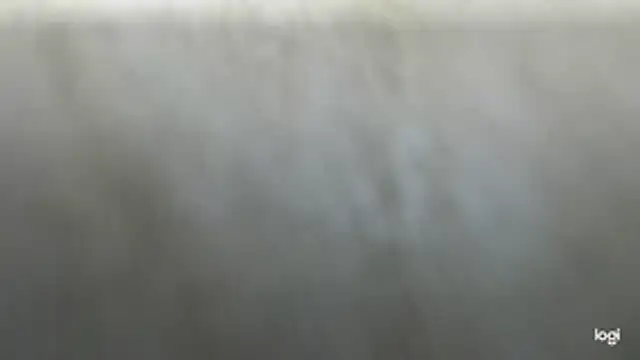 BrisonChase online show from June 17, 2026, 5:43 am