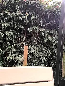 Snapshot of Fun_Everywhere chatting on March 14, 2025, 8:38 pm Fun Everywhere online show from March 14, 2025, 8:38 pm