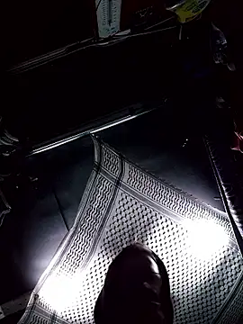 Snapshot of TRebelG chatting on January 6, 2026, 11:07 pm TRebelG online show from January 6, 2026, 11:07 pm