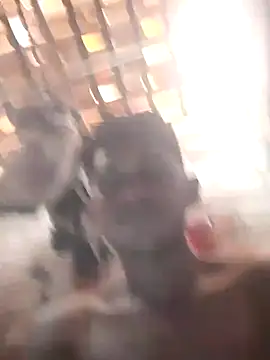 Snapshot of fudedor224 chatting on March 6, 2025, 5:54 pm fudedor224 online show from March 6, 2025, 5:54 pm