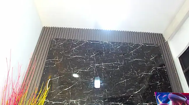 Snapshot of NalaRoy chatting on December 15, 2024, 6:29 am NalaRoy online show from December 15, 2024, 6:29 am