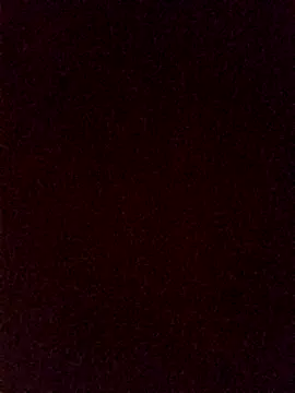 HornetBigDickonYou online show from December 5, 2024, 6:54 am
