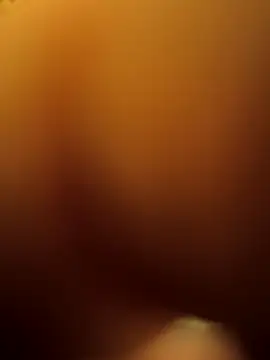 Snapshot of joeyriddle chatting on April 8, 2026, 4:23 am joeyriddle online show from April 8, 2026, 4:23 am