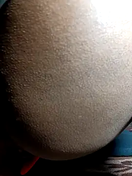 Fucker boy 1 online show from December 24, 2024, 8:38 pm