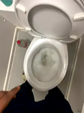 Snapshot of Rastamanzigy22 chatting on November 16, 2025, 6:19 am Rastamanzigy22 online show from November 16, 2025, 6:19 am