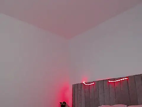 thomas gun online show from November 7, 2025, 1:49 am