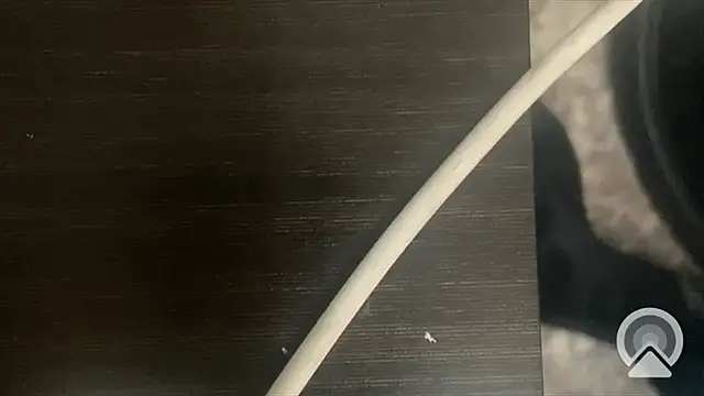 shuai321 online show from February 13, 2025, 7:56 am