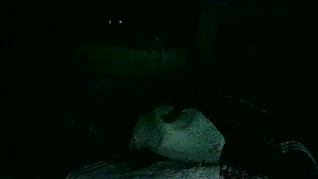 DI4MOND FIR3 online show from November 18, 2025, 10:41 am