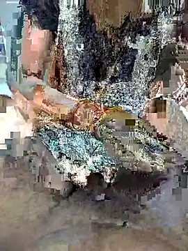 Snapshot of FeltedEuropium chatting on November 22, 2025, 9:19 am FeltedEuropium online show from November 22, 2025, 9:19 am