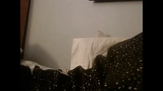 Snapshot of VanceFontaine chatting on October 27, 2025, 11:25 am VanceFontaine online show from October 27, 2025, 11:25 am