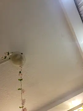 Lau1127 online show from February 8, 2026, 11:08 pm