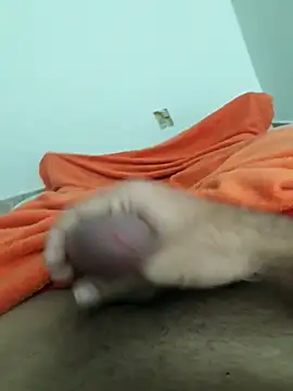 lm279 online show from October 31, 2025, 9:10 am