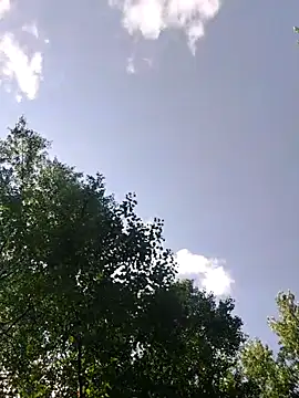 QcMisterv13 online show from July 5, 2026, 1:51 pm